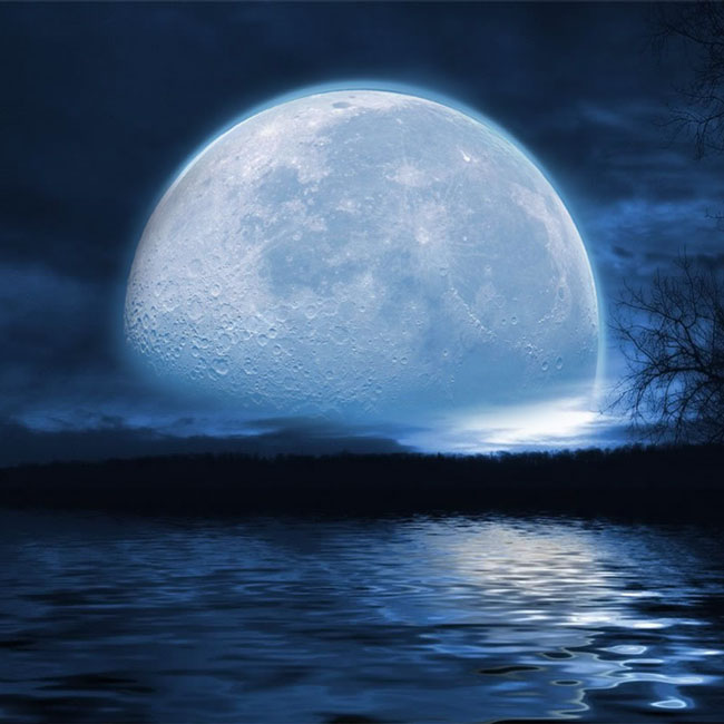 Молчание серебряной Луны